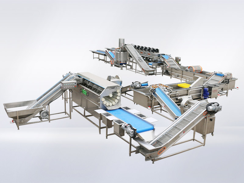 ​Automated Kimchi Processing Line